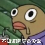 喵屋-萌玩ACG